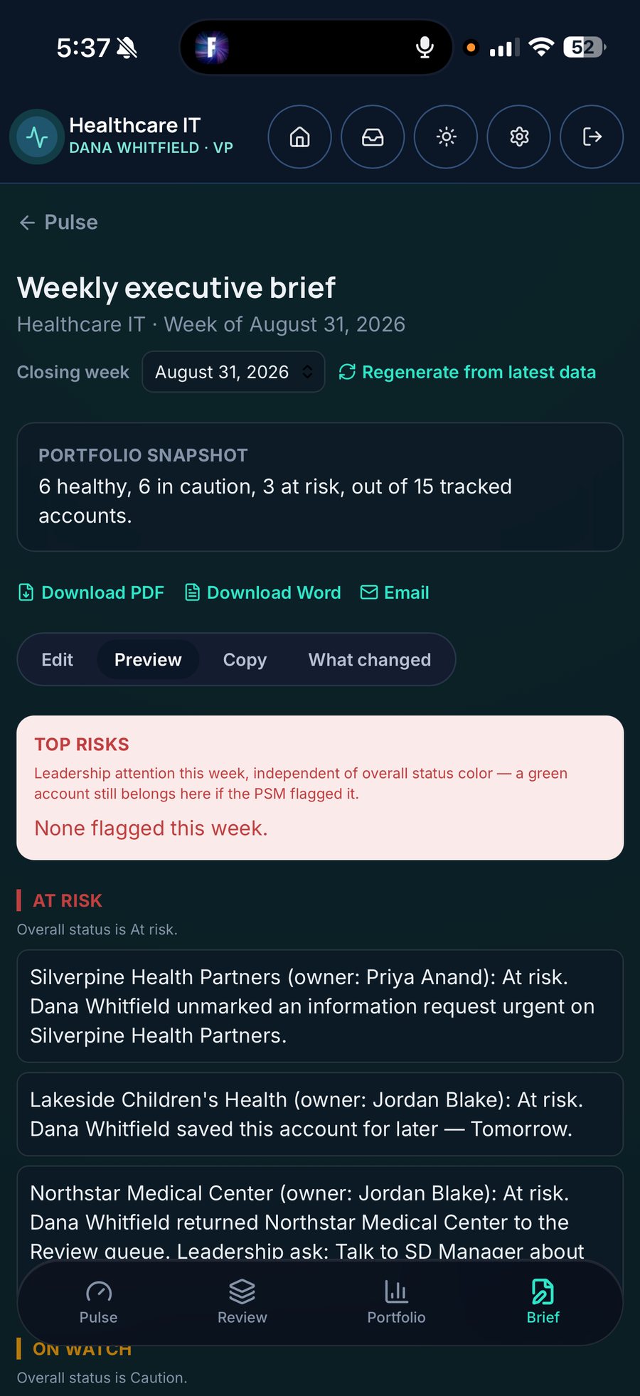 Weekly executive brief: portfolio snapshot, top risks and at-risk account stories (sample data)